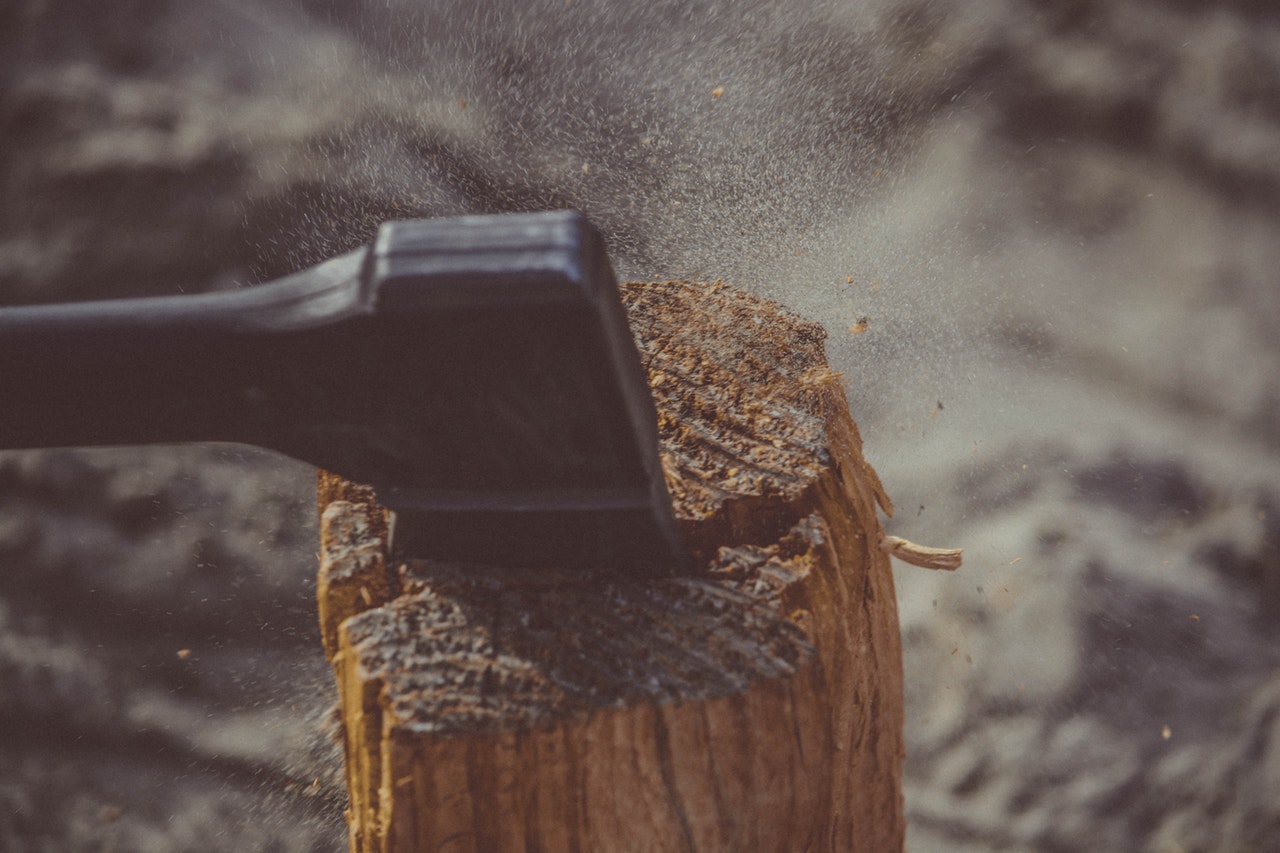 An axe buried in the stump of a tree.