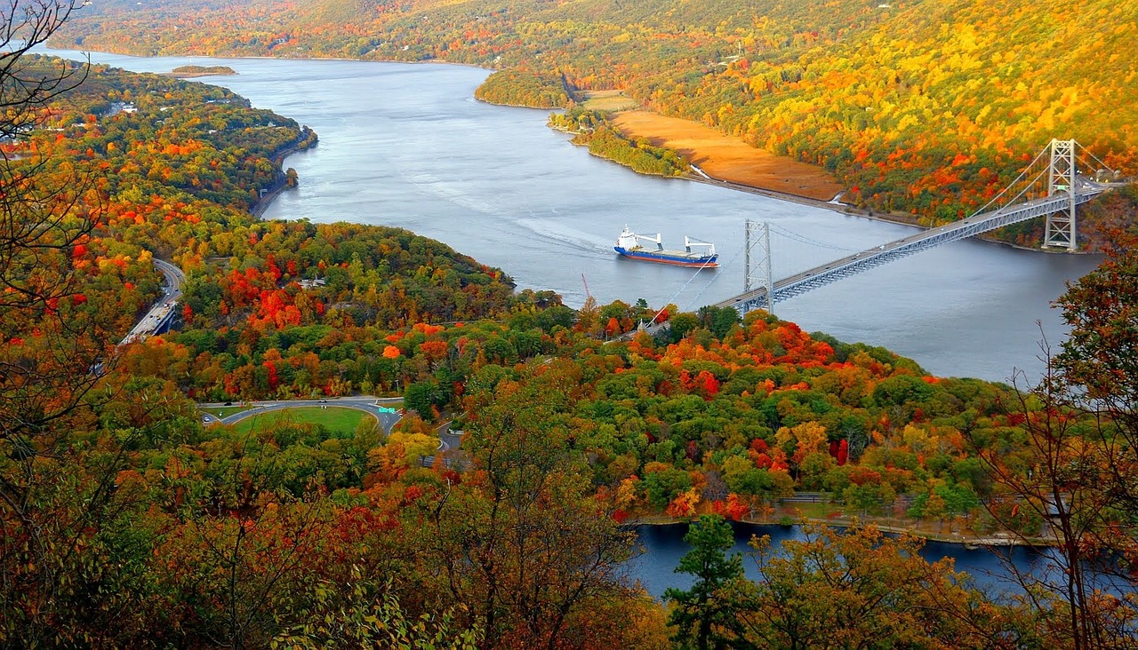 Colorful trees around a river