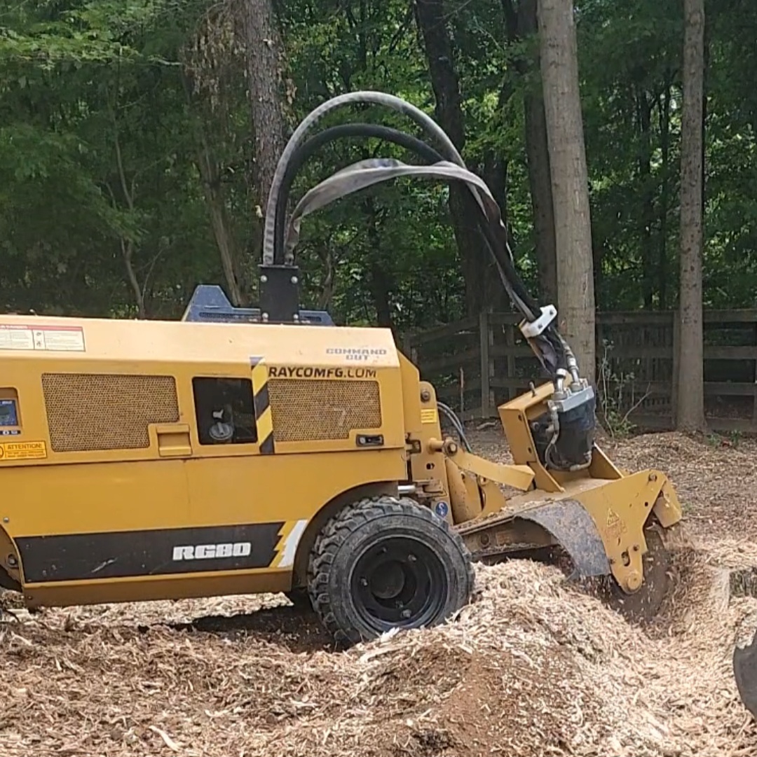 stump grinding image cincinnati